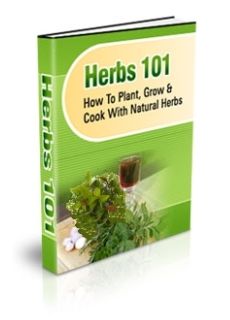 Herbs 101 (image for) Herbs 101