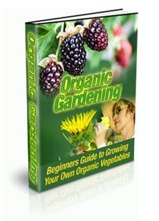 Organic Gardening (image for) Organic Gardening