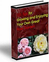 101 Tips for Growing & Enjoying Your Own Great Rose Garden (PLR) (image for) 101 Tips for Growing & Enjoying Your Own Great Rose Garden (PLR)