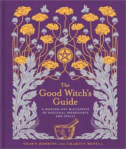 Good Witch's Guide by Robbins & Bedell (image for) Good Witch's Guide by Robbins & Bedell