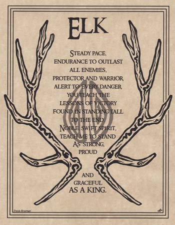 Elk Prayer (image for) Elk Prayer