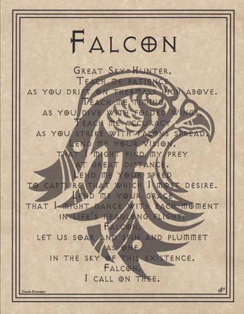 Falcon Prayer (image for) Falcon Prayer