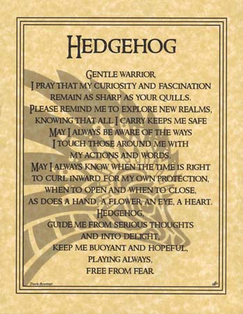 Hedgehog Prayer (image for) Hedgehog Prayer