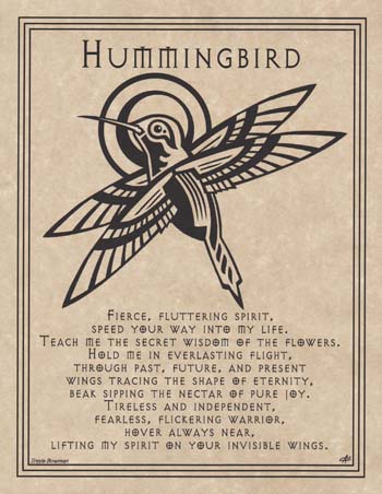 Hummingbird Prayer (image for) Hummingbird Prayer