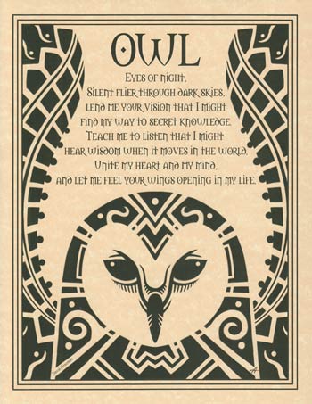 Owl (image for) Owl