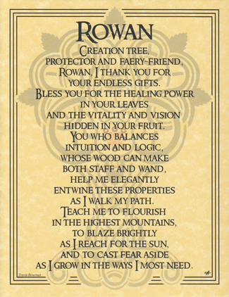 (image for) Rowan