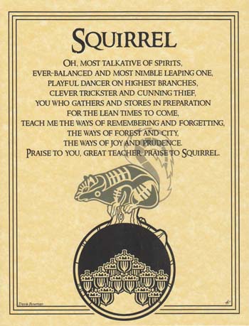 Squirrel Prayer (image for) Squirrel Prayer