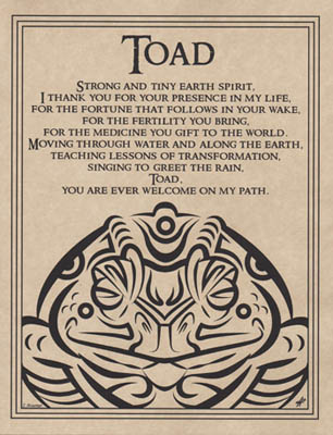 Toad Blessing (image for) Toad Blessing
