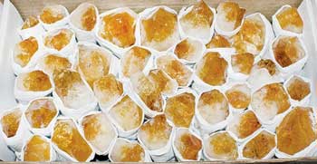 Flat of Citrine Points (image for) Flat of Citrine Points