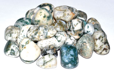 1 lb Agate, Tree tumbled stones (image for) 1 lb Agate, Tree tumbled stones