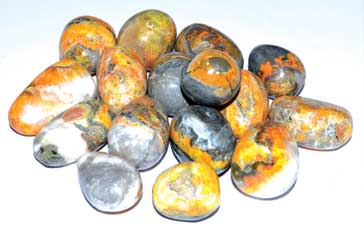 1 lb Jasper, Bumble Bee tumbled stones (image for) 1 lb Jasper, Bumble Bee tumbled stones