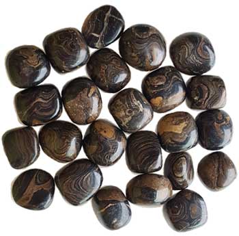 1 lb Stromatolite (onyx Brown) tumbled stones (image for) 1 lb Stromatolite (onyx Brown) tumbled stones