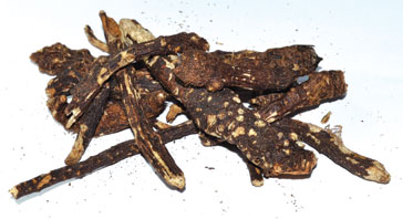 Osha Root whole 2oz (image for) Osha Root whole 2oz