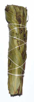 4" Eucalyptus Citridora smudge stick (image for) 4" Eucalyptus Citridora smudge stick