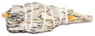 4" Sage & Palo Santo smudge (not bagged) (image for) 4" Sage & Palo Santo smudge (not bagged)