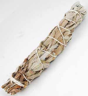 White Sage smudge 5-6" (image for) White Sage smudge 5-6"