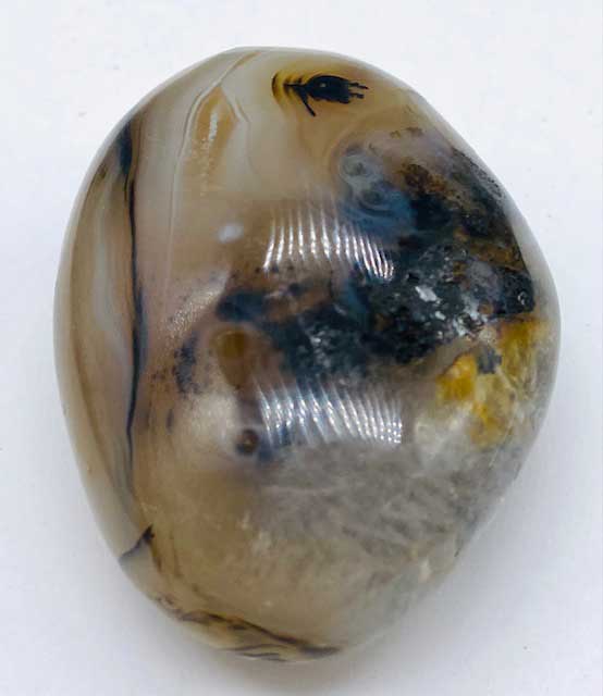 Agate, Dendritic palm stone (image for) Agate, Dendritic palm stone