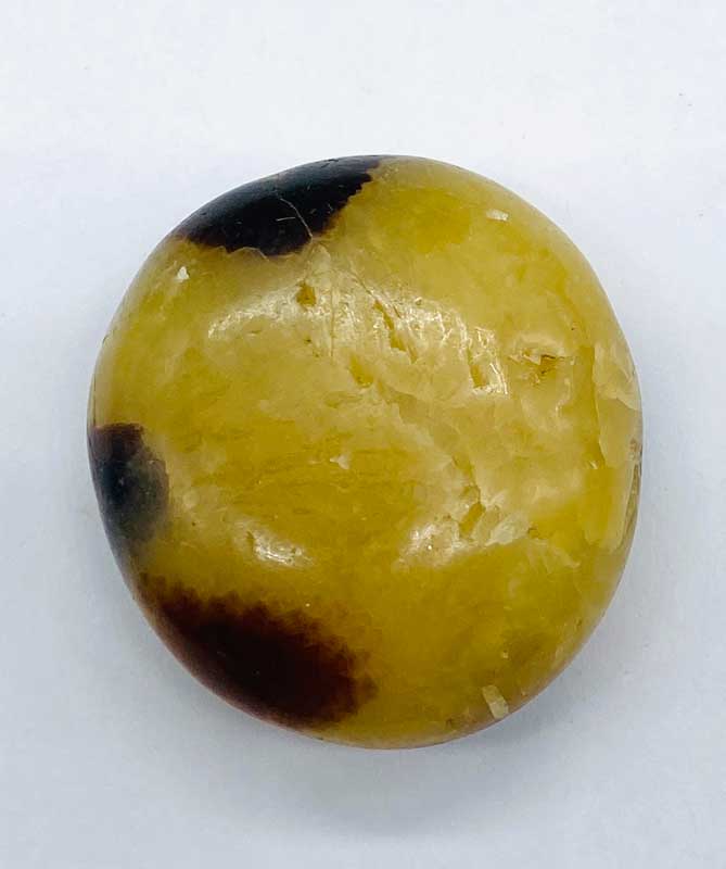 Jasper,Septarian palm stone (image for) Jasper,Septarian palm stone