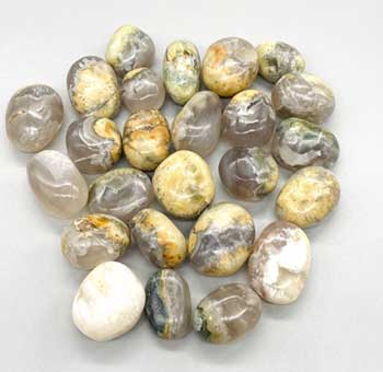 1 lb Opalized Petrified Wood tumbled stones (image for) 1 lb Opalized Petrified Wood tumbled stones