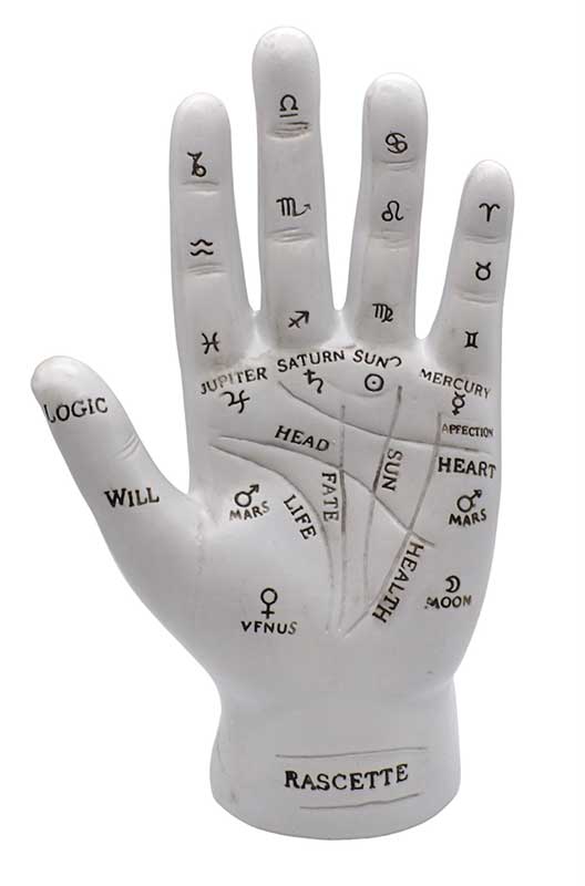 7" Palmistry Hand (image for) 7" Palmistry Hand